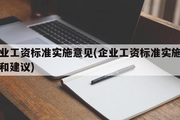 企业工资标准实施意见(企业工资标准实施意见和建议)